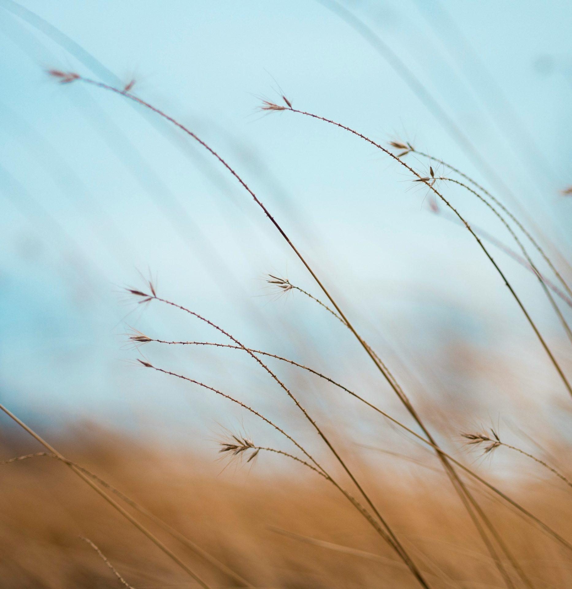 aaron-burden-tQF8FCNYNrk-unsplash