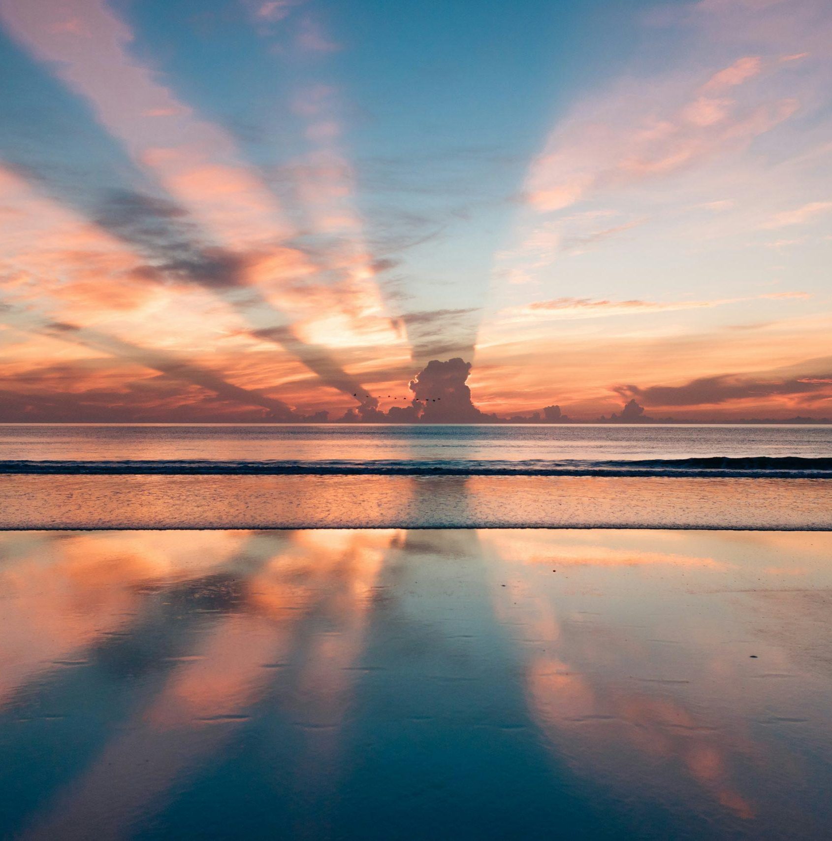 ravi-pinisetti-1zikZJVXSfA-unsplash