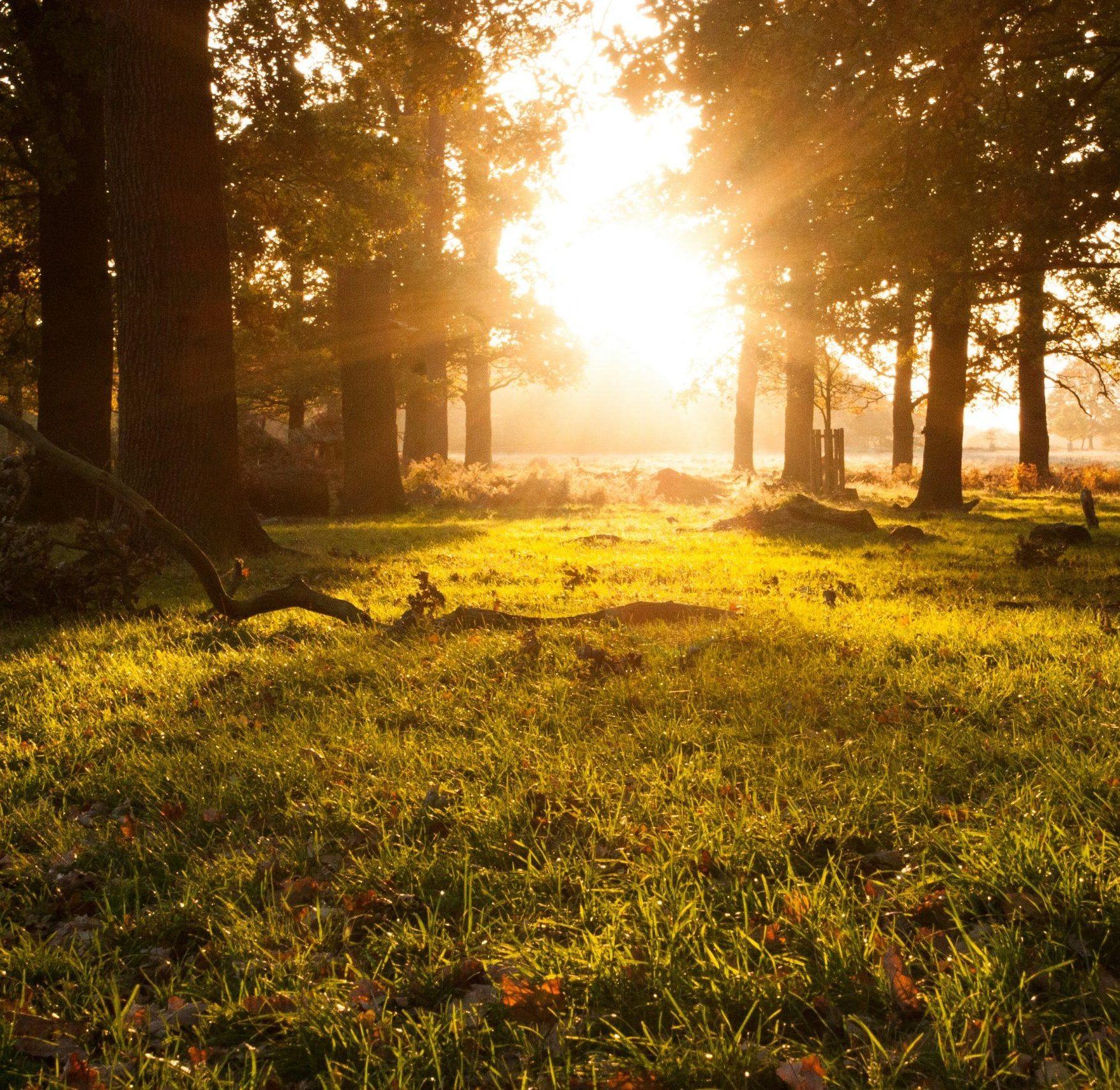 tom-shakir-PBcAG6bARdI-unsplash